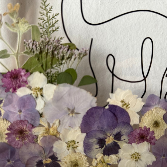 Hund im Frühlingsmantel