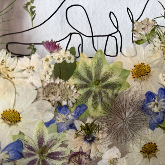 Hund im Frühlingsmantel