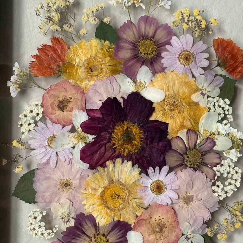 Blumenpoesie in drei Farben