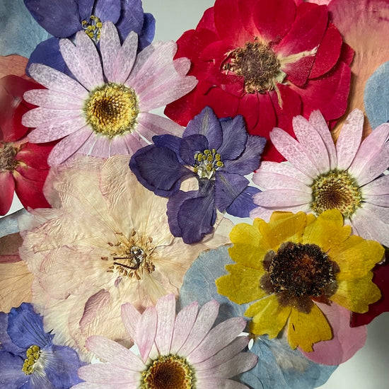 Tanzen auf der Wasseroberfläche