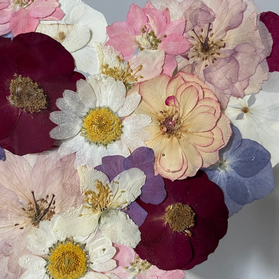 Tanzen auf der Wasseroberfläche