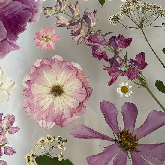 Wo Farbe ist, ist Leben