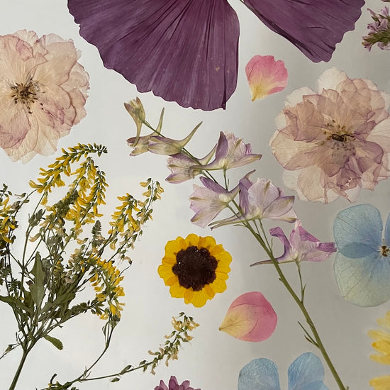 Nachtgarten der Träume