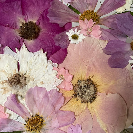 Nachtgarten der Träume