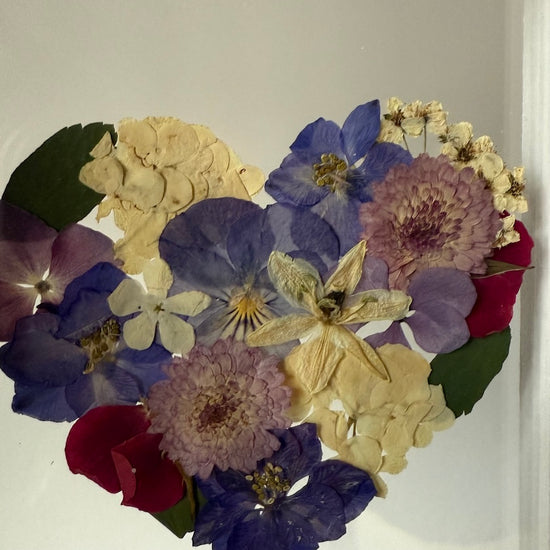 Blühen unter dem Schnee