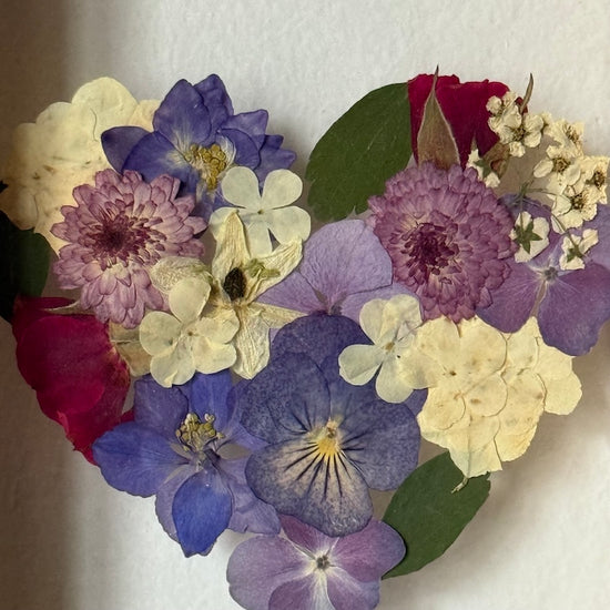 Blühen unter dem Schnee