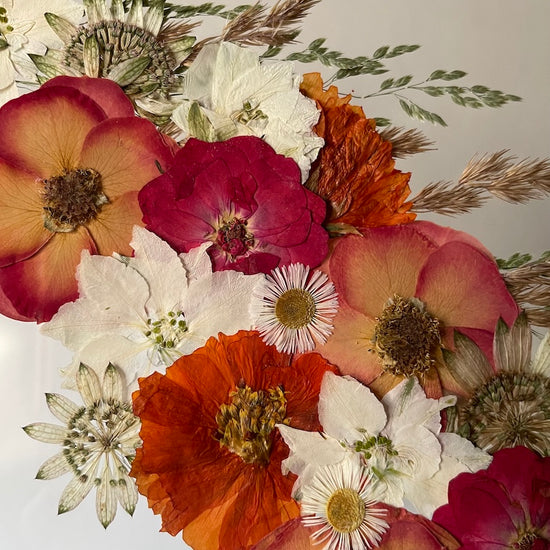 Hund im Frühlingsmantel