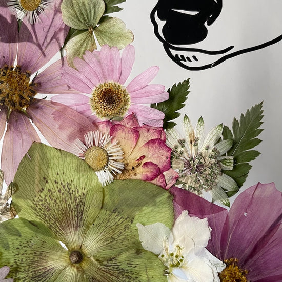 Hund im Frühlingsmantel