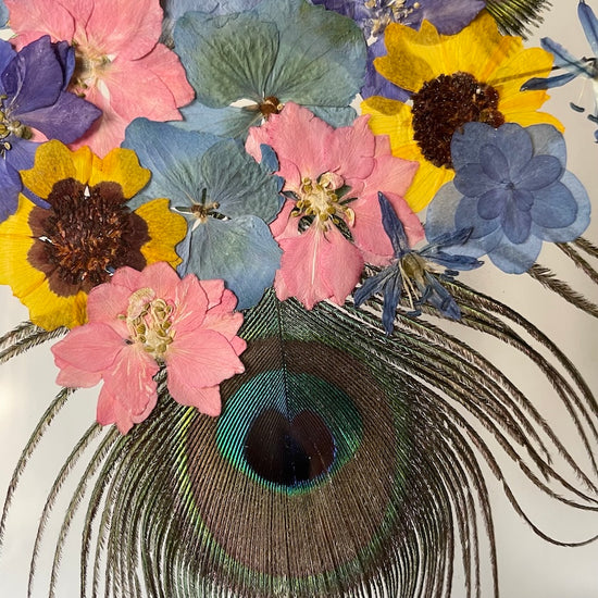 Hund im Frühlingsmantel