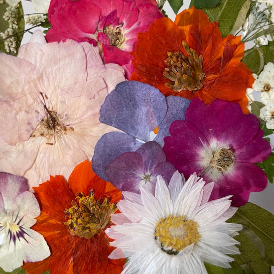 Tanzen auf der Wasseroberfläche