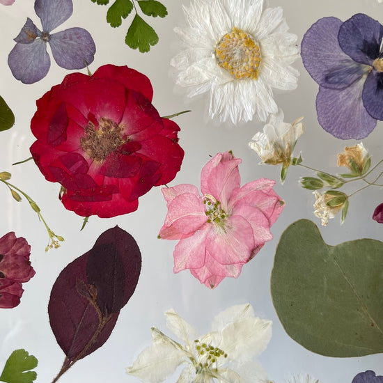 Tanzen auf der Wasseroberfläche