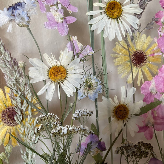 Das Geheimnis der blauen Hortensie