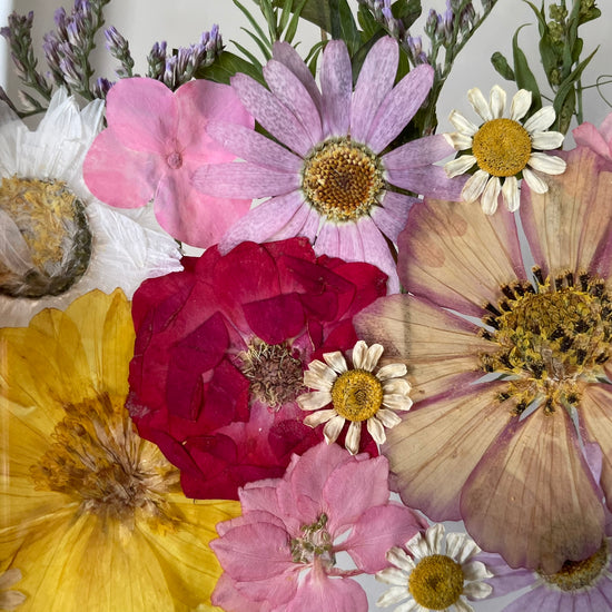 Tanzen auf der Wasseroberfläche