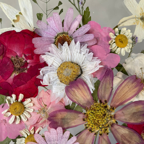 Tanzen auf der Wasseroberfläche