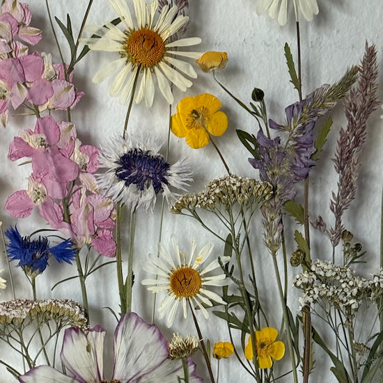 Nachtgarten der Träume