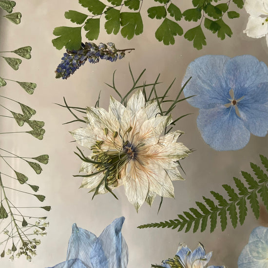 Wo Farbe ist, ist Leben