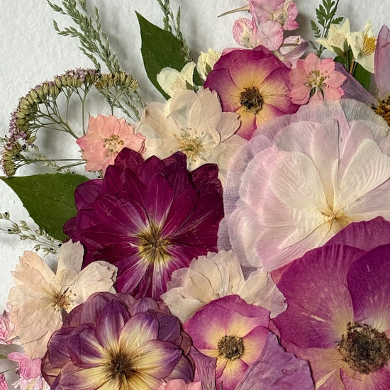 Nachtgarten der Träume