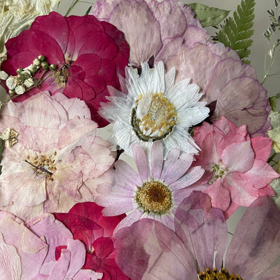 Nachtgarten der Träume