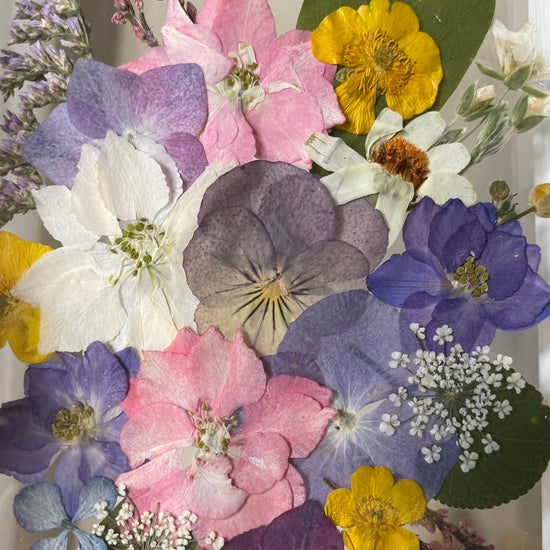 Drama geheimnisvoller Blumen