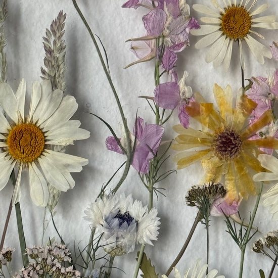 Nachtgarten der Träume