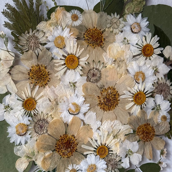 Nachtgarten der Träume