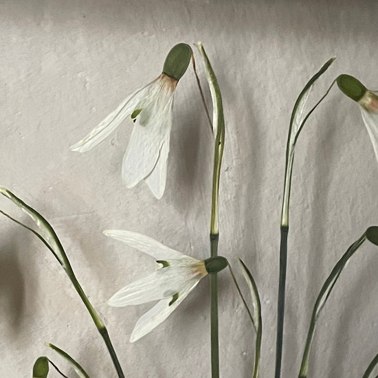 Frieden für meine Seele