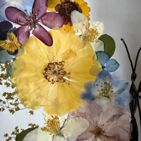 Hund im Frühlingsmantel