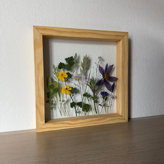 Wiesenblume