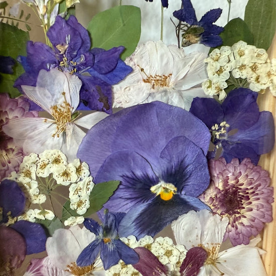 Drama geheimnisvoller Blumen