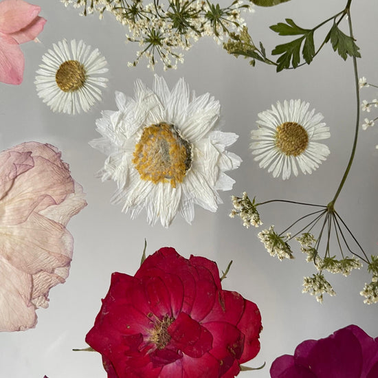 Nachtgarten der Träume