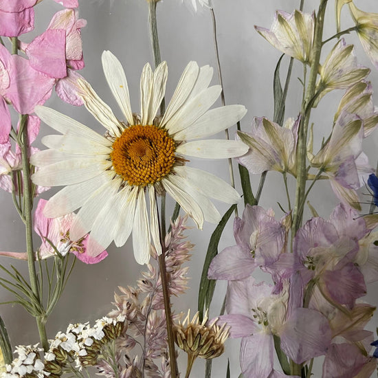 Das Geheimnis der blauen Hortensie