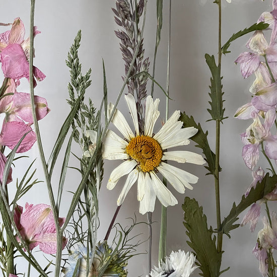 Das Geheimnis der blauen Hortensie