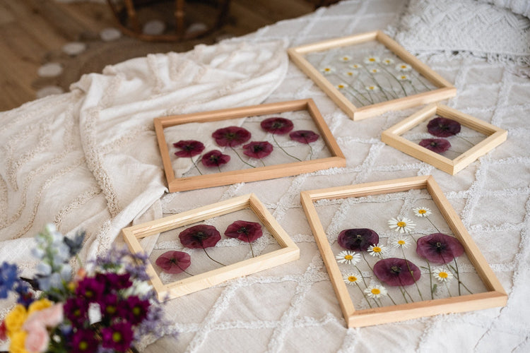 Mohn- und Wiesensammlung