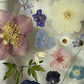 Blumigkeit