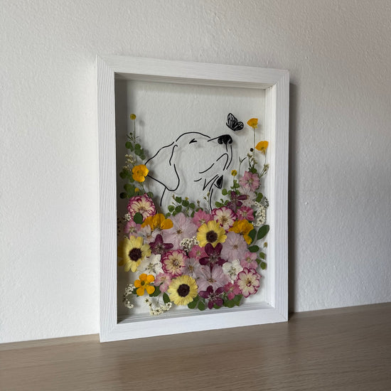 Hund im Frühlingsmantel