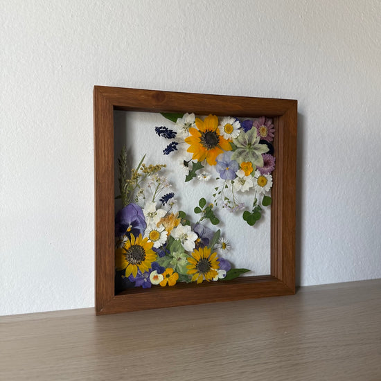 Wohin aus der floralen Langeweile? Hier entlang!