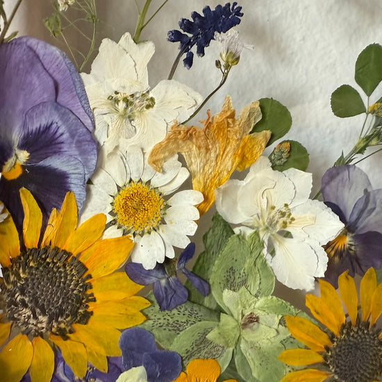 Wohin aus der floralen Langeweile? Hier entlang!