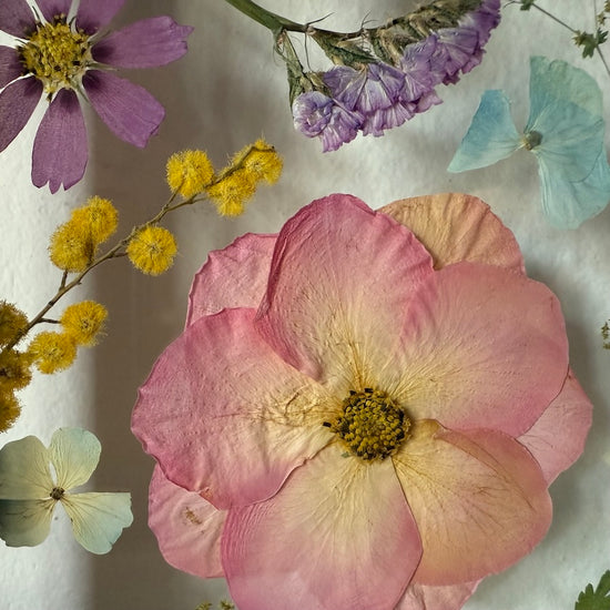 Die Bedeutung von Blumen
