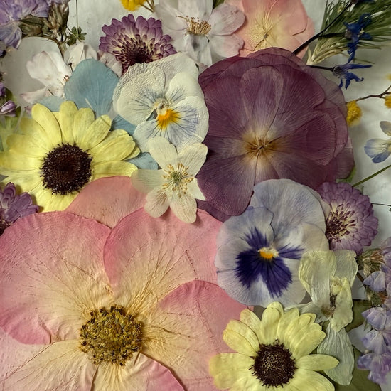 Die Bedeutung von Blumen