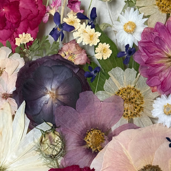 Wo Farbe ist, ist Leben