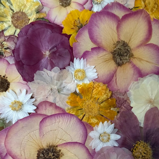 Wo Farbe ist, ist Leben