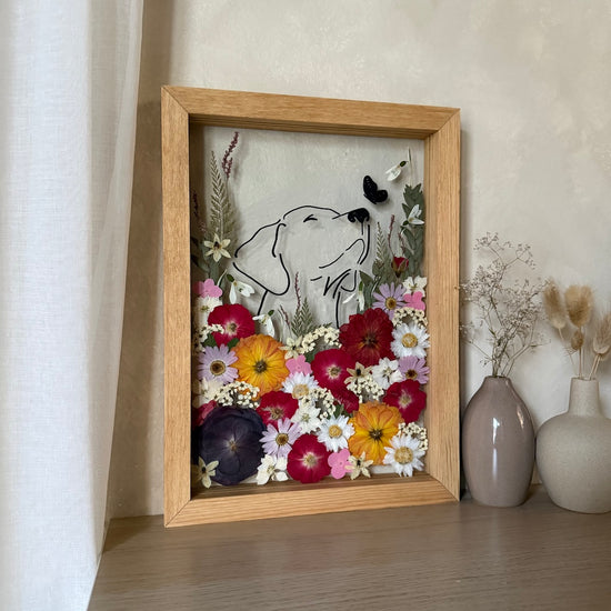 Hund im Frühlingsmantel