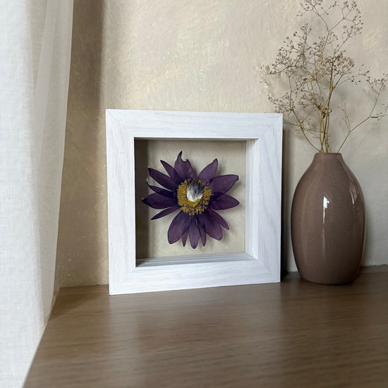 Sterne am Himmel