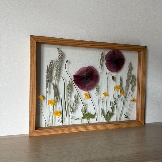 Das Geheimnis der blauen Hortensie