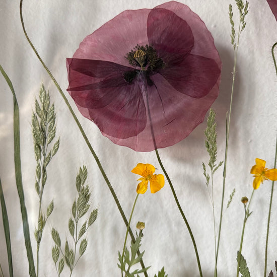Das Geheimnis der blauen Hortensie