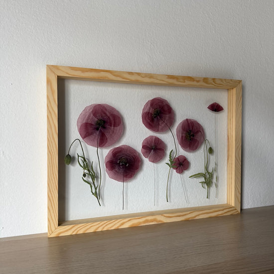 Das Geheimnis der blauen Hortensie