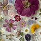 Blumigkeit