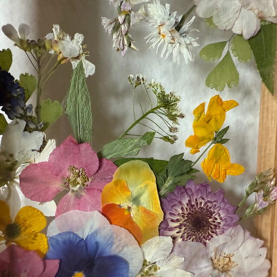Blumige Vergänglichkeit