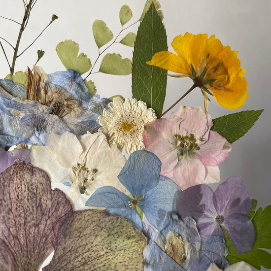 Farben der Seele