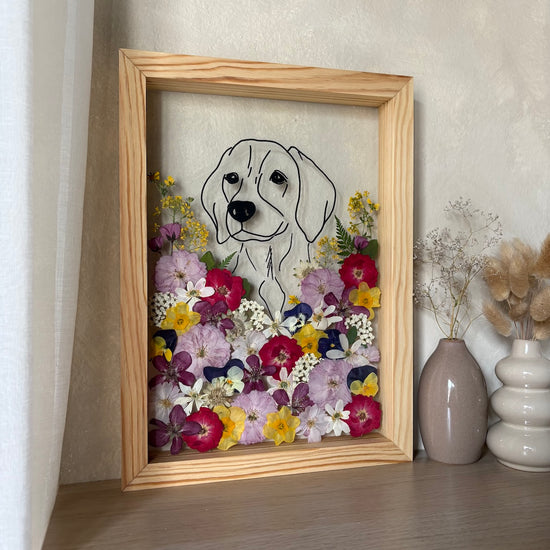 Hund im Frühlingsmantel